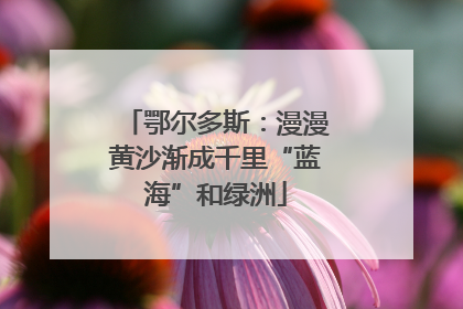 鄂尔多斯：漫漫黄沙渐成千里“蓝海”和绿洲